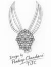 Premium Quality | Long Set | Rani Har Necklace |