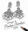 Premium Quality | Dangler Style | Earrings |