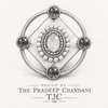Premium Quality | Carving Stone | Silver Oxidized | Ring |